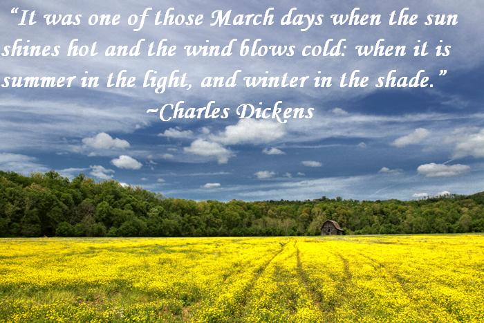Quotes About Spring Awesome Quotes About Life