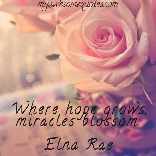 Image result for blossom quotes