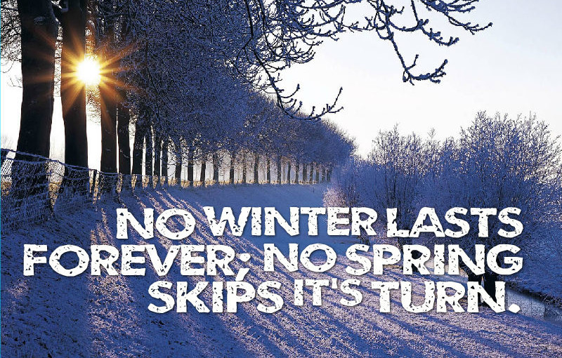 Quotes About Winter - Awesome Quotes About Life